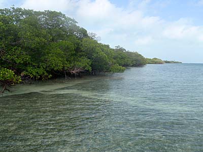 a0050227_071959.jpg