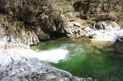 e0181928_19563322.jpg