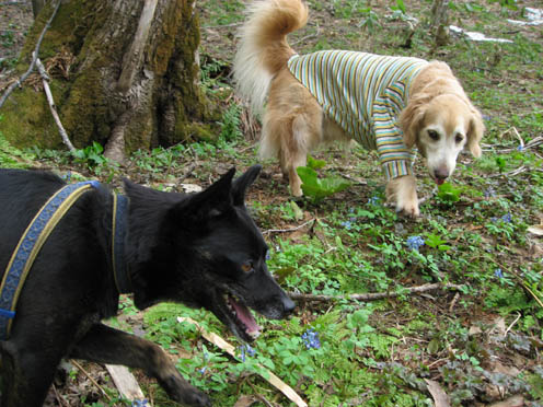 f0227228_04670.jpg
