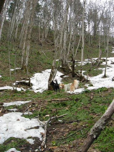 f0227228_051310.jpg