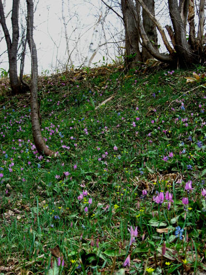 f0227228_2553777.jpg