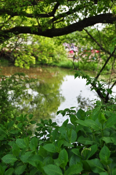 c0133533_21313484.jpg
