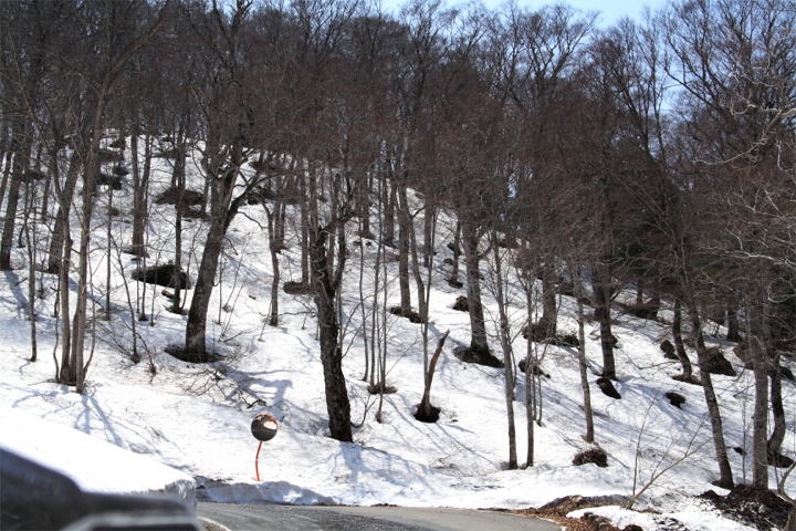 d0012134_1844916.jpg