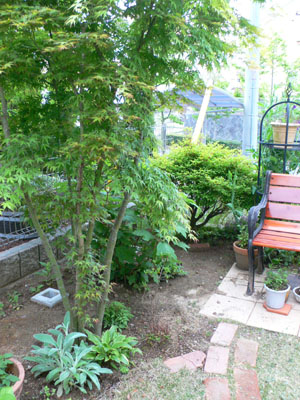 f0061334_2155395.jpg