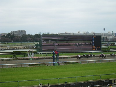 a0055835_2302276.jpg