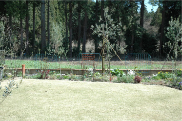 f0188237_0125780.jpg