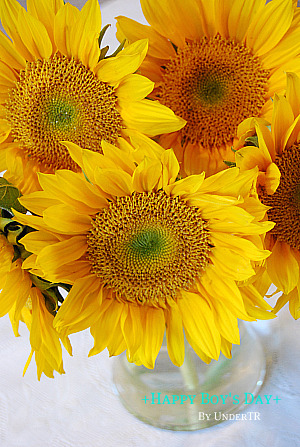 f0162440_2563198.jpg