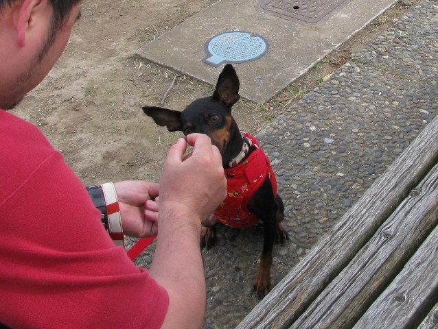 e0150843_22171530.jpg