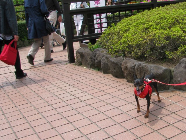 e0150843_2295584.jpg