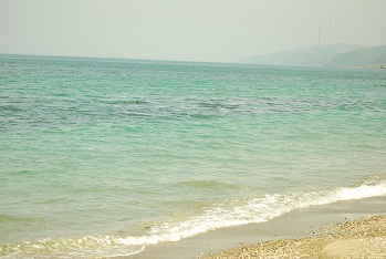 c0107144_21575586.jpg