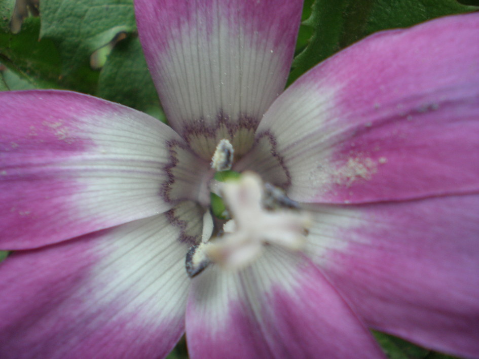 c0153444_752870.jpg