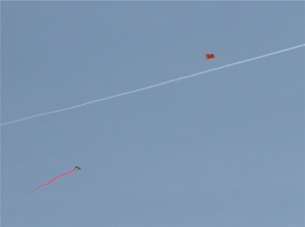 f0151044_850581.jpg