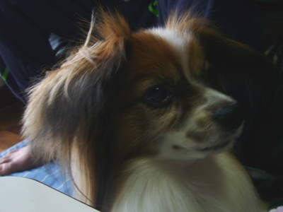e0100046_23163112.jpg