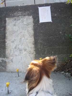 e0100046_23201690.jpg