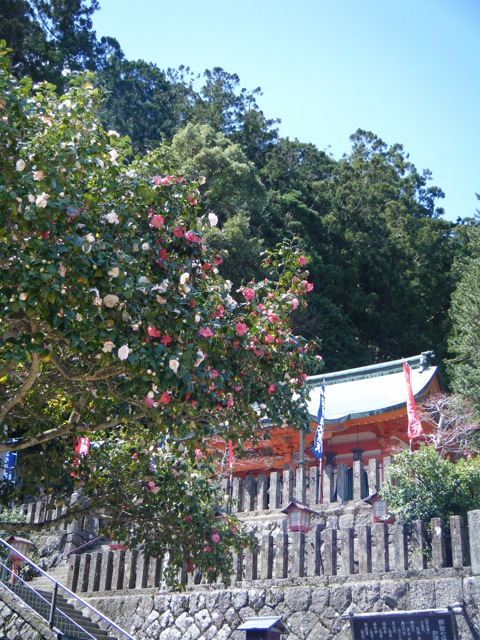c0190847_2193630.jpg