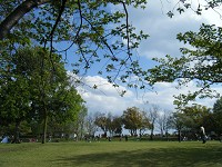e0175148_13231982.jpg