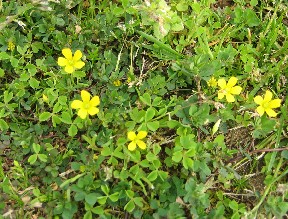 e0047949_23452060.jpg