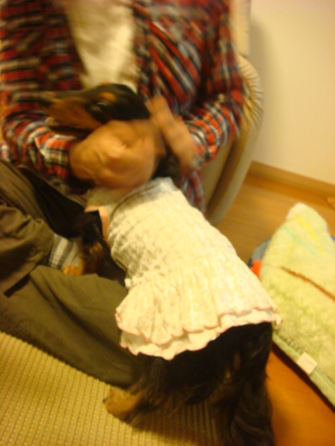 e0169149_11382733.jpg