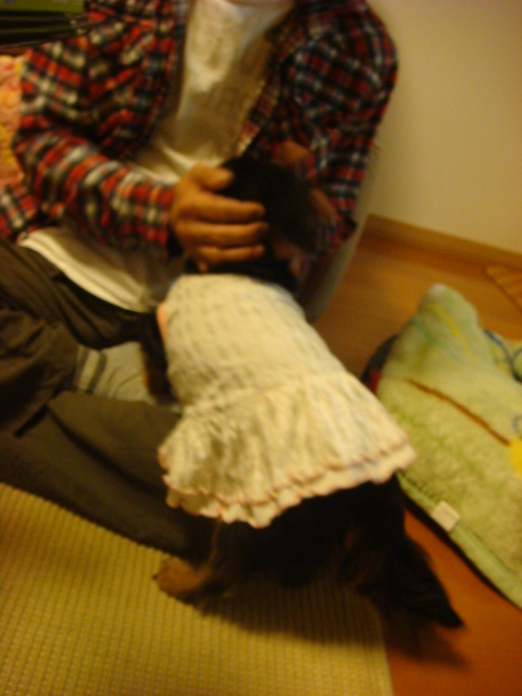 e0169149_1139046.jpg