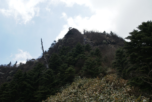 f0214649_840030.jpg