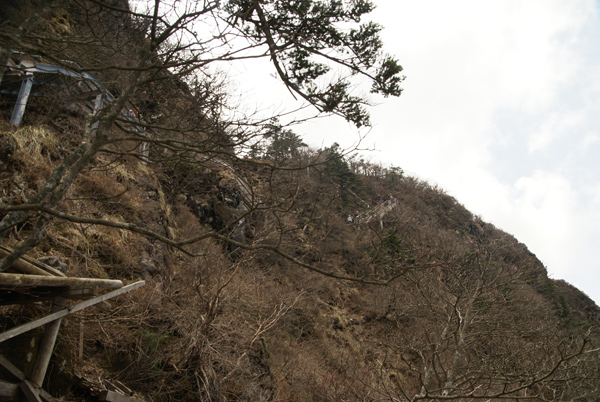 f0214649_8411623.jpg