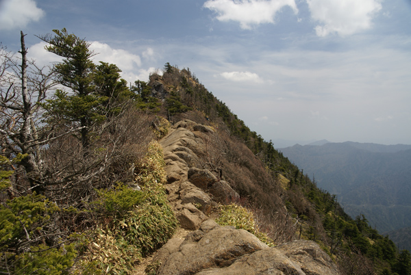 f0214649_8555020.jpg