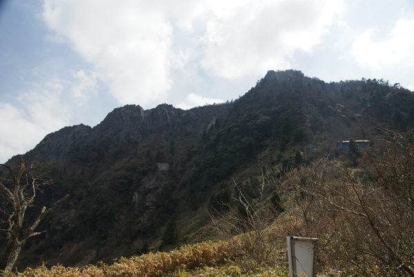 f0214649_942231.jpg