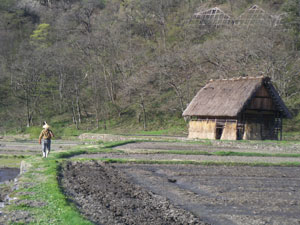 f0012852_10121559.jpg