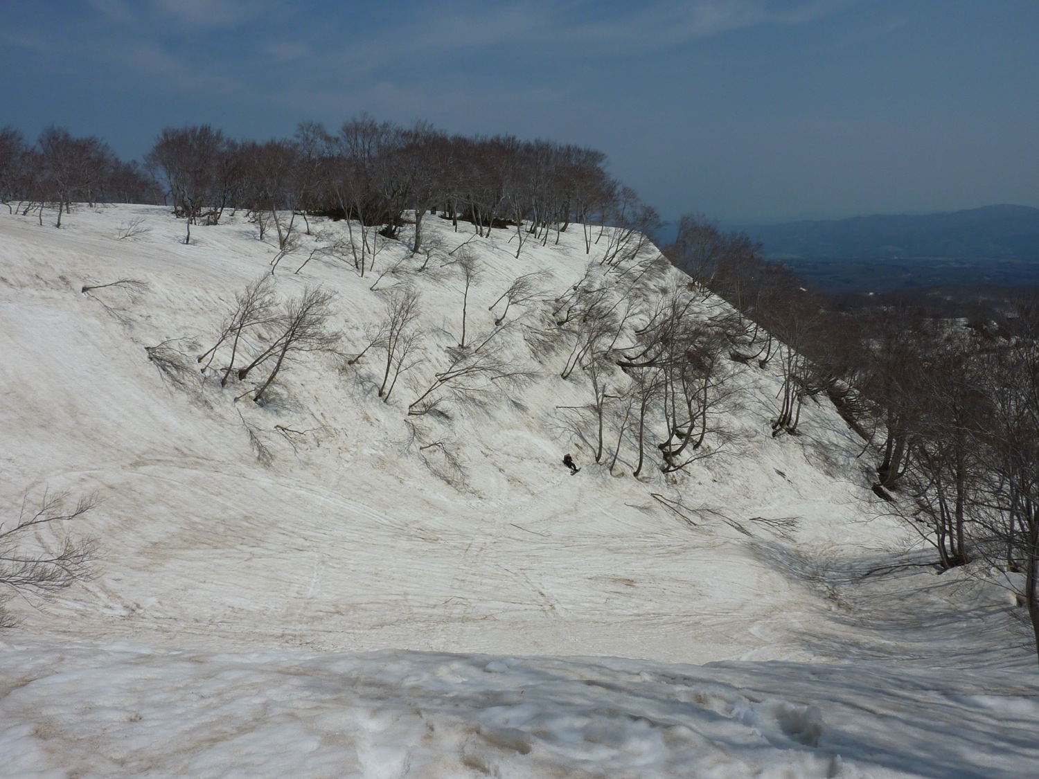 f0013553_0472817.jpg