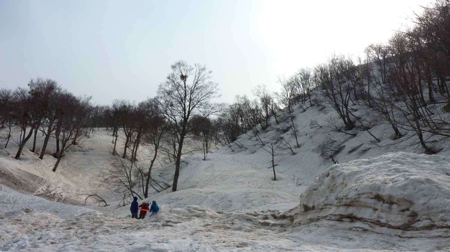 f0013553_152167.jpg