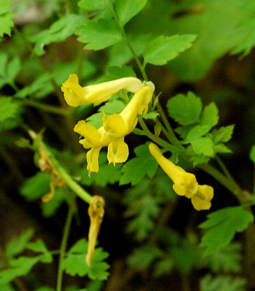 d0091754_1822120.jpg