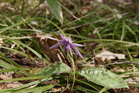 f0232254_21313028.jpg