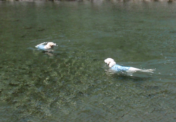 c0110361_171073.jpg