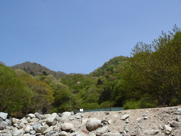 c0110361_1723532.jpg