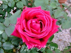 a0104162_205240100.jpg