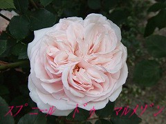 a0104162_20543928.jpg