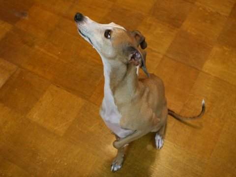 f0158862_2035247.jpg