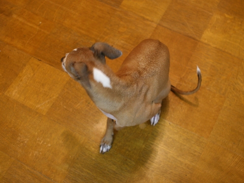 f0158862_20354999.jpg