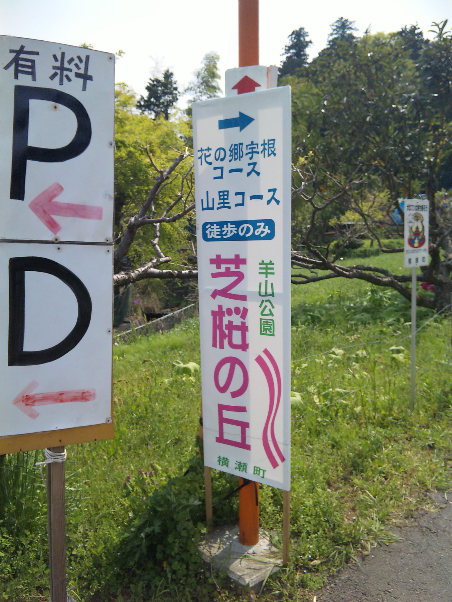 b0101263_0562555.jpg