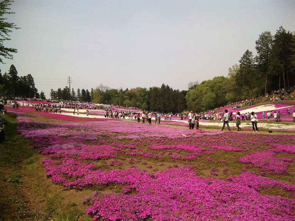 b0101263_0565740.jpg