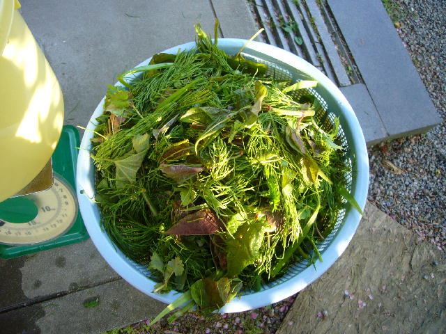 f0057565_17205923.jpg