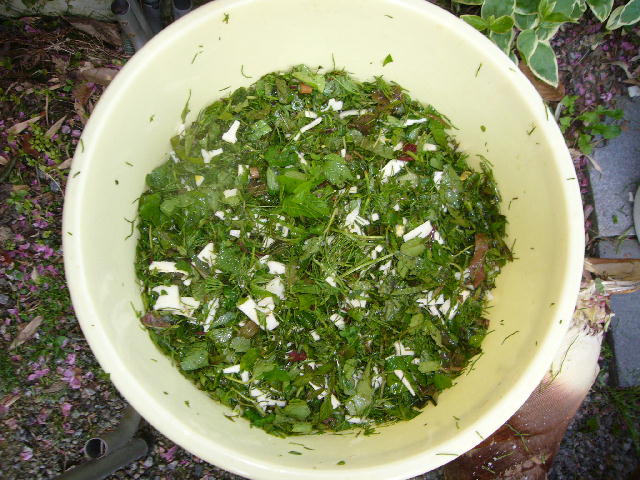 f0057565_17251132.jpg