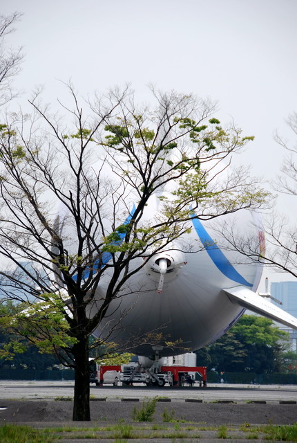 b0174068_0445351.jpg
