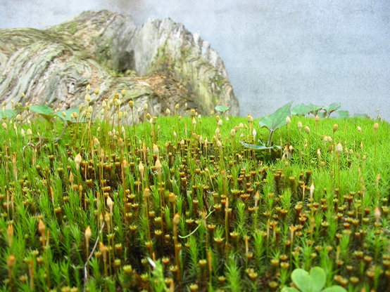 c0144868_2251294.jpg