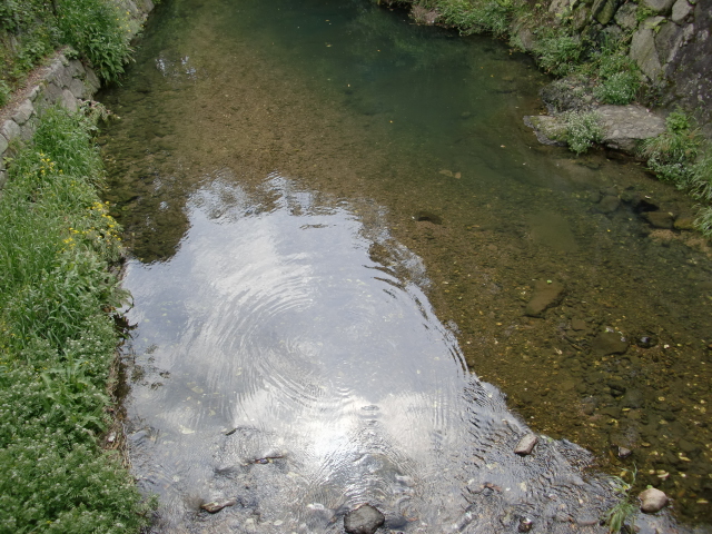 c0207868_11465948.jpg