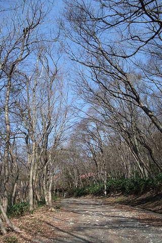 e0045768_22115116.jpg