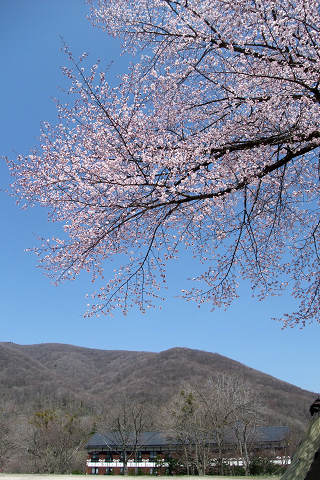 e0045768_22425217.jpg