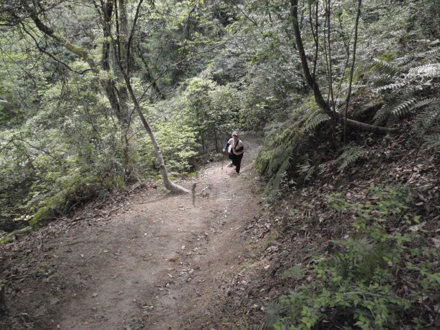 c0042869_2051942.jpg