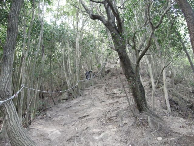 c0042869_20544128.jpg