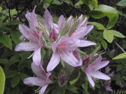 c0042869_2104079.jpg